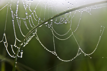 Similar image 13310282