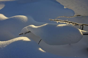 Similar image 13310154