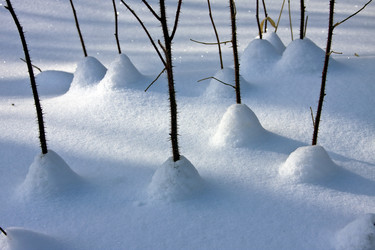 Similar image 13310163