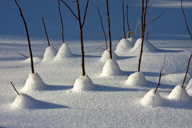 Similar image 13310169