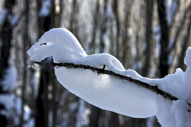 Similar image 13310214