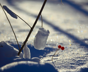 Similar image 13310219