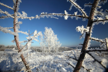 Similar image 13316718