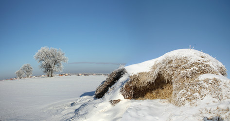 Similar image 13310054