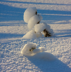 Similar image 13310118