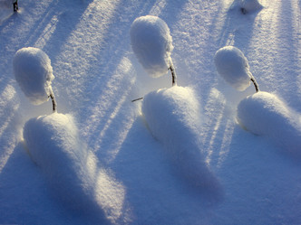 Similar image 13310129