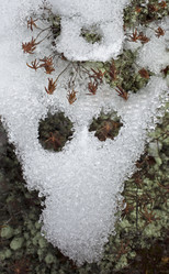 Similar image 13310138