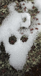 Similar image 13310139