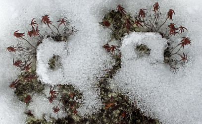 Similar image 13310211