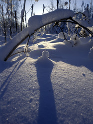 Similar image 13310217