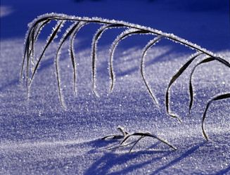 Similar image 13310218