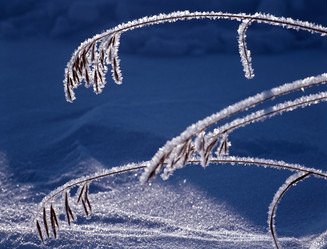 Similar image 13310260