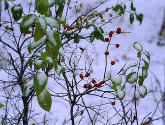 Similar image 13310285