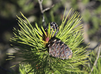 Similar image 13309987