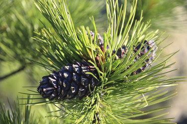 Similar image 13310003