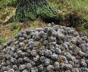 Similar image 13310048