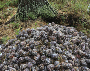 Similar image 13310051