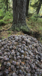 Similar image 13310115