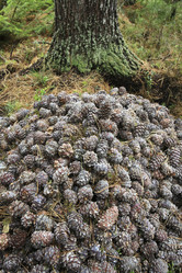 Similar image 13310120