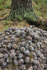 Similar image 13310233