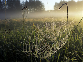 Similar image 13310288