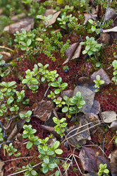 Similar image 13310009