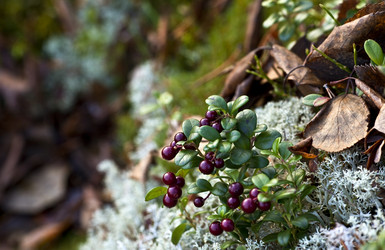 Similar image 13310017