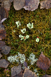 Similar image 13310055