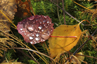 Similar image 13310134