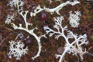 Similar image 13310237