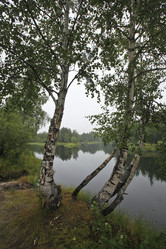 Similar image 13310243