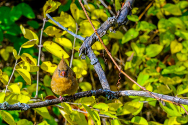 Similar image 13322321