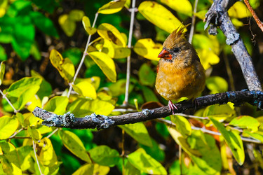 Similar image 13322324