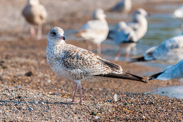 Similar image 13322325