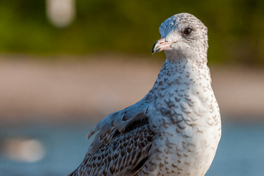 Similar image 13322326