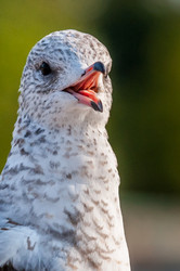 Similar image 13322327