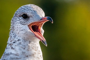 Similar image 13322328