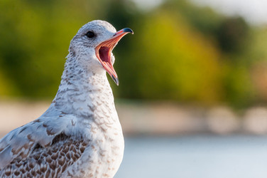 Similar image 13322330