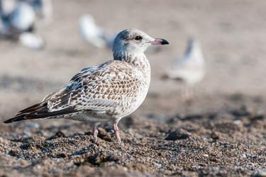 Similar image 13322331