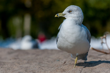 Similar image 13322332