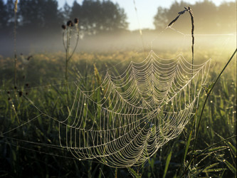 Similar image 13316658