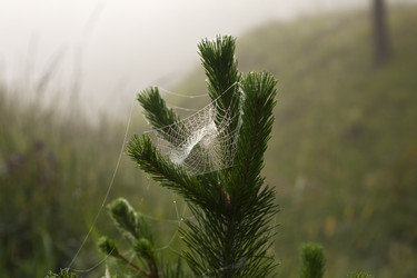 Similar image 13316660