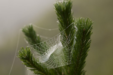 Similar image 13316722