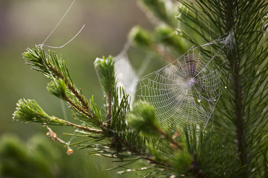 Similar image 13316737