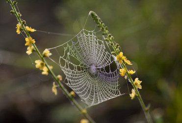 Similar image 13316808