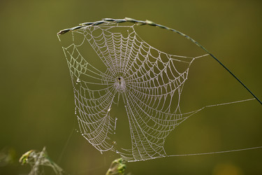 Similar image 13316810