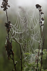 Similar image 13316606