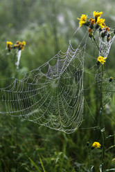 Similar image 13316615