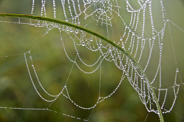 Similar image 13316646