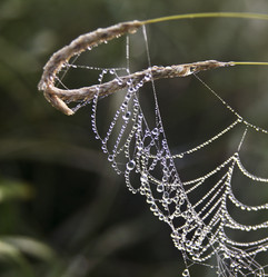 Similar image 13316648